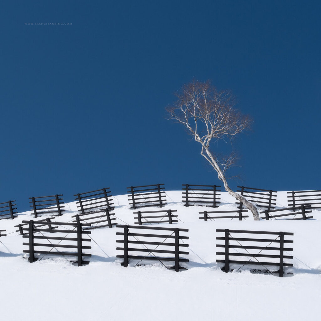Hokkaido Photography Tour in Winter
